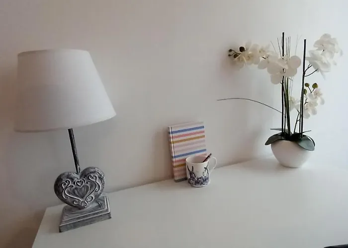 Studio Meublé