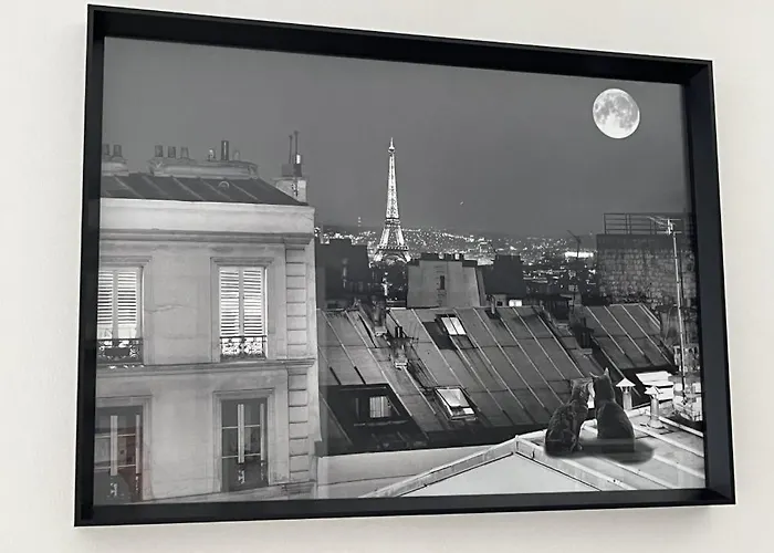 Studio Meublé